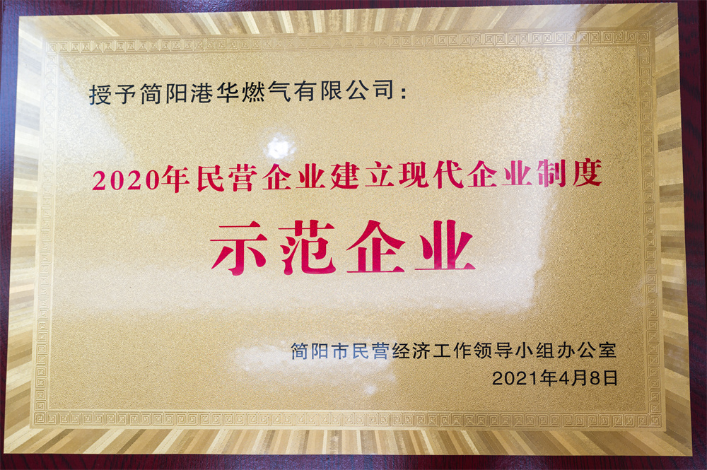 2020年民营企业建立现代企业制度示范企业