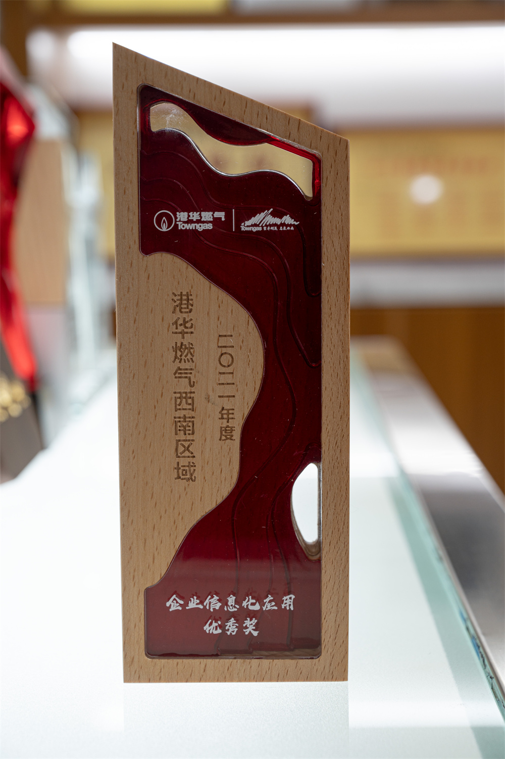 2022年 企业信息化应用 优秀奖