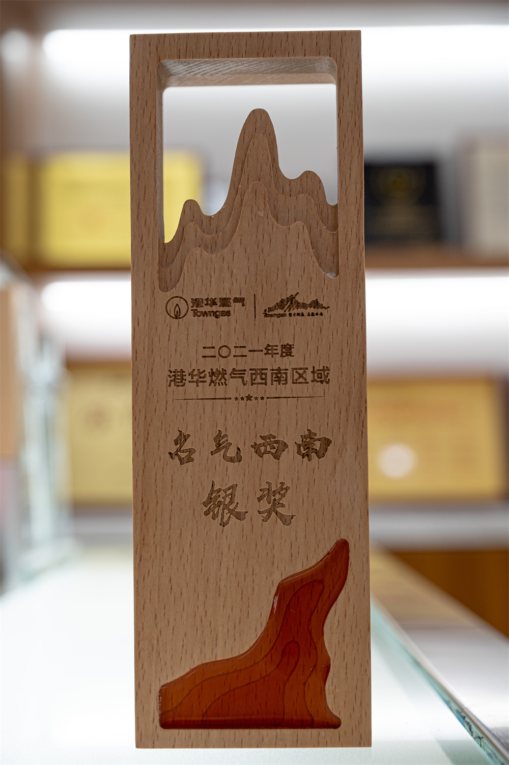 2022年 西南名气 银奖