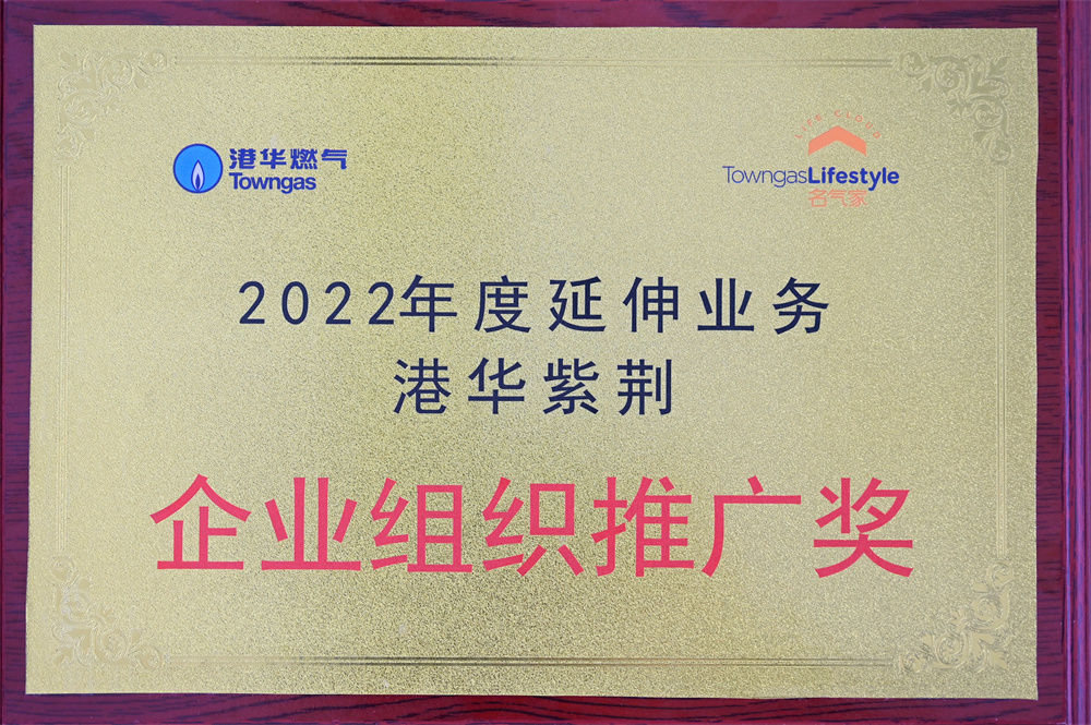 2022年度 延伸业务 港华紫荆 企业组织推广奖